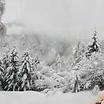 Relax Nel Bosco شاليه *