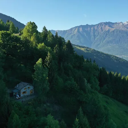 Relax Nel Bosco Rasura