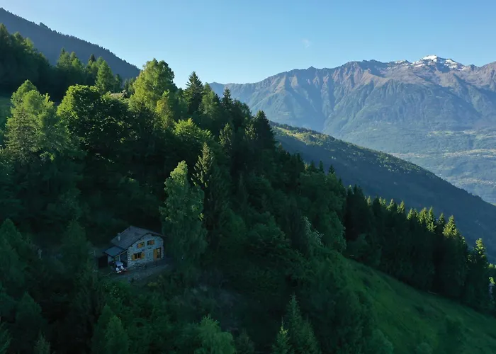 Relax Nel Bosco Rasura