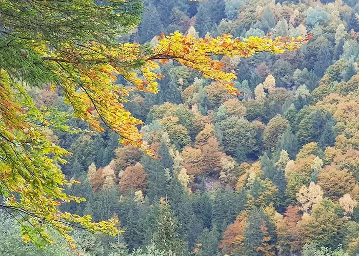 木屋 Relax Nel Bosco *